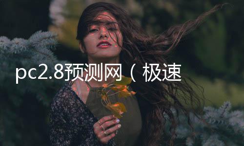 pc2.8预测网(极速pc28预测网)